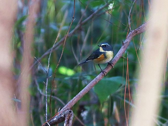 17012_0.jpg  : 69 KB