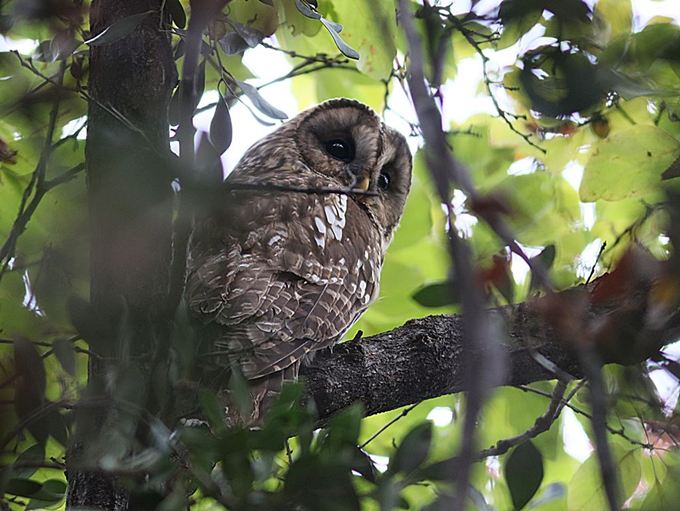 17014_0.jpg  : 83 KB