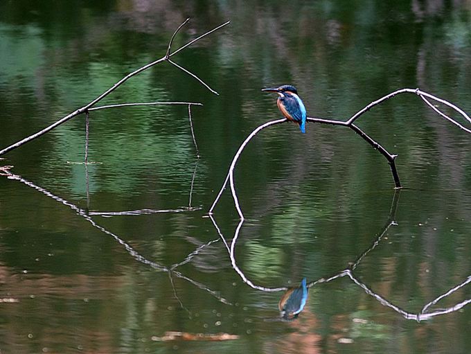 17014_1.jpg  : 79 KB