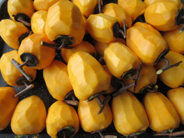 17025_1.jpg  : 131 KB