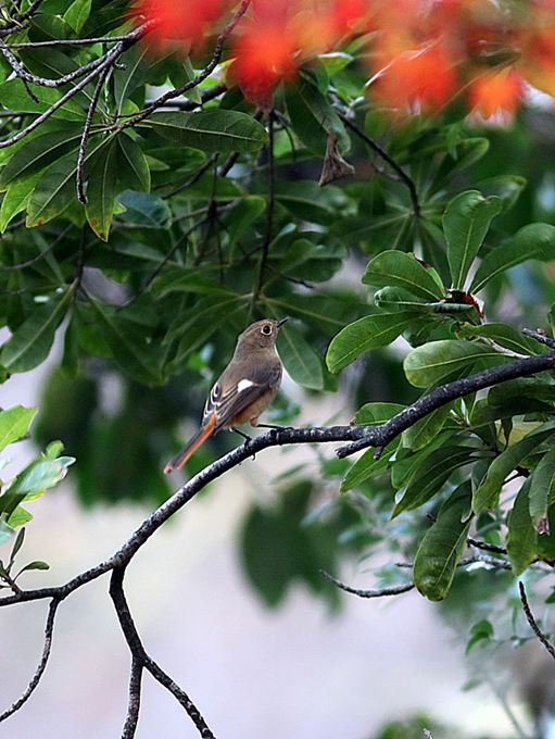 17040_1.jpg  : 84 KB