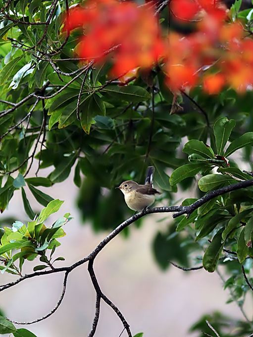 17040_2.jpg  : 84 KB