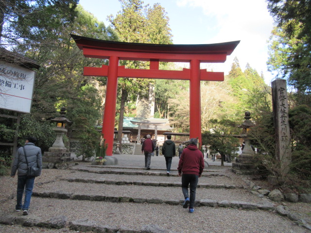 17047_1.jpg  : 183 KB