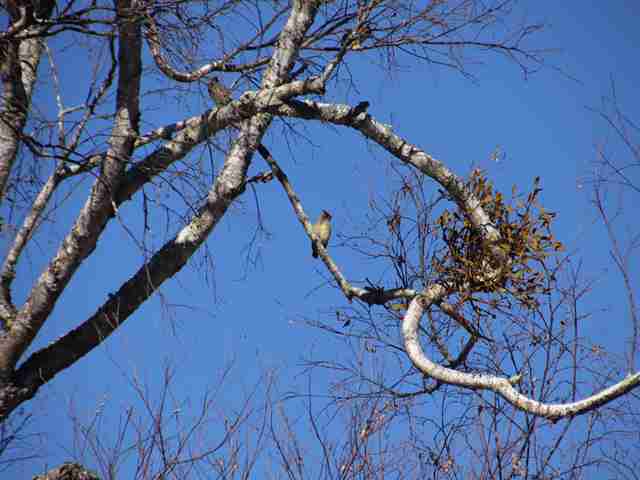 17055_0.jpg  : 59 KB