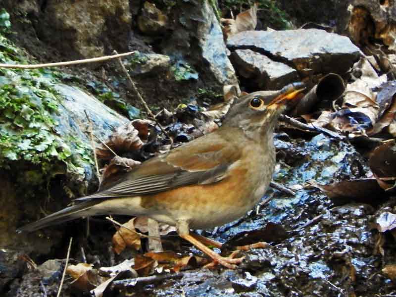 17058_1.jpg  : 51 KB