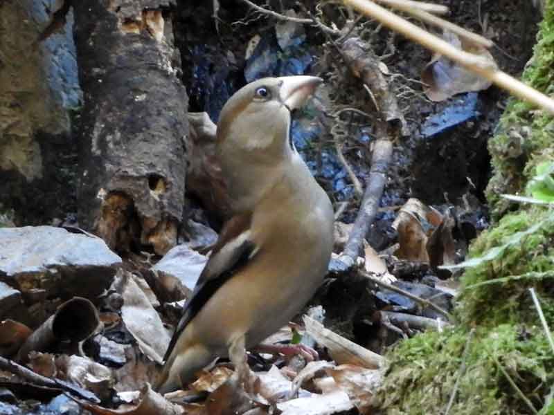 17058_2.jpg  : 41 KB