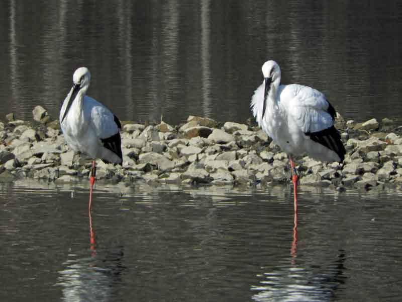 17061_0.jpg  : 30 KB