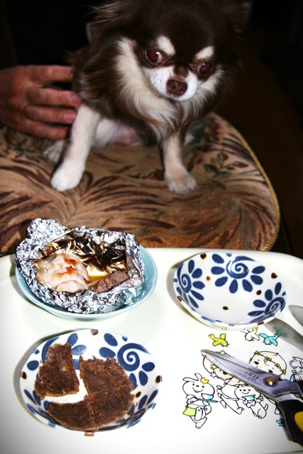 17062_1.jpg  : 75 KB