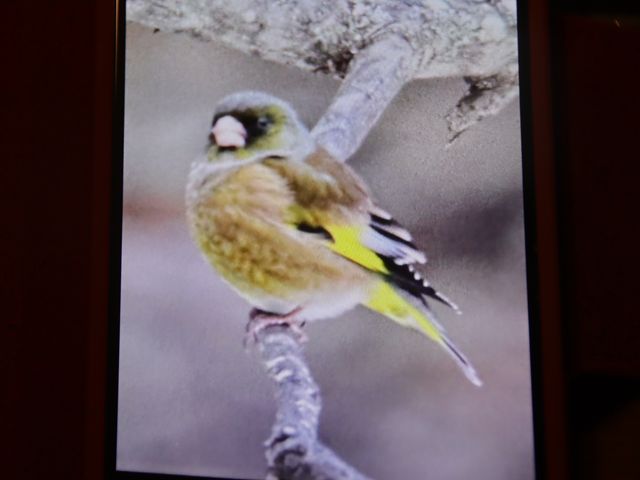 17083_1.jpg  : 27 KB