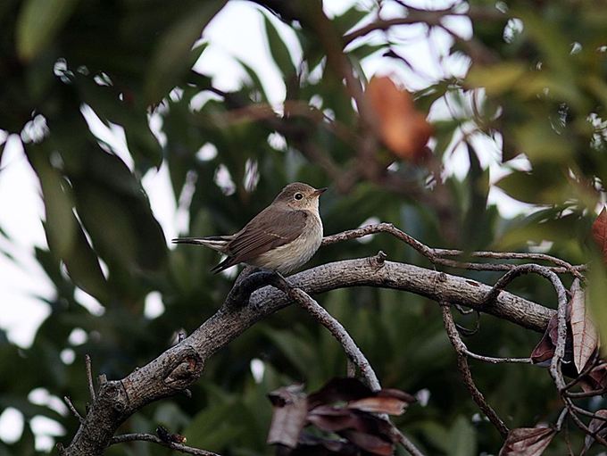 17086_0.jpg  : 76 KB