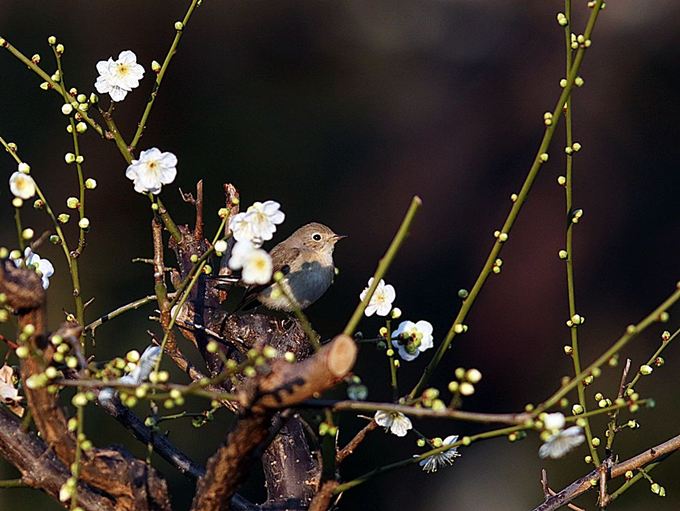 17086_2.jpg  : 78 KB