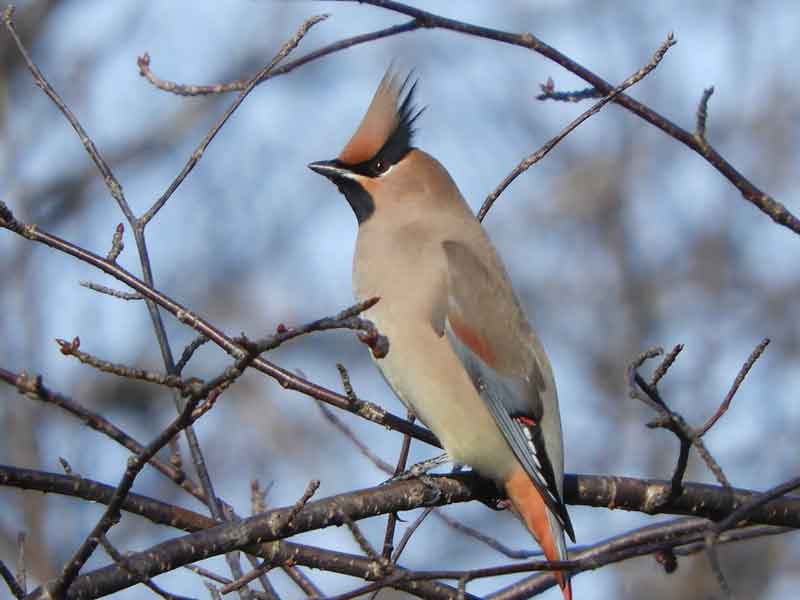 17088_0.jpg  : 30 KB