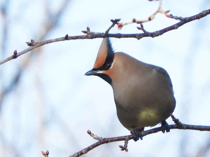 17088_1.jpg  : 17 KB