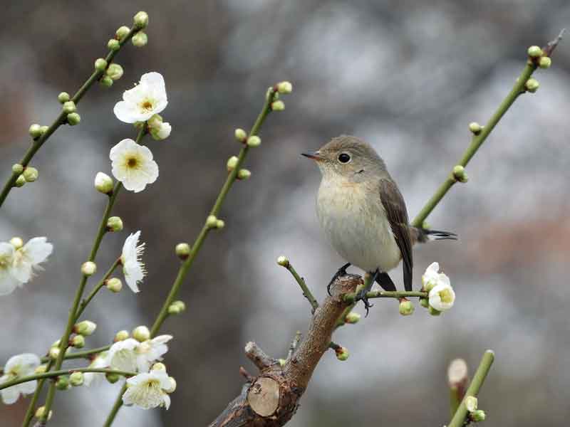 17090_1.jpg  : 23 KB