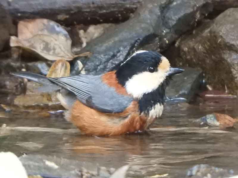 17092_0.jpg  : 27 KB