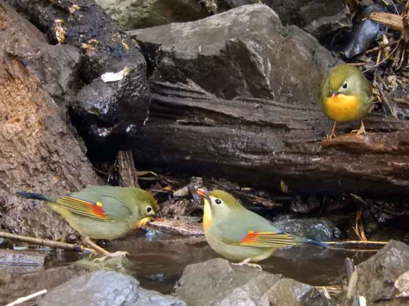 17092_2.jpg  : 39 KB