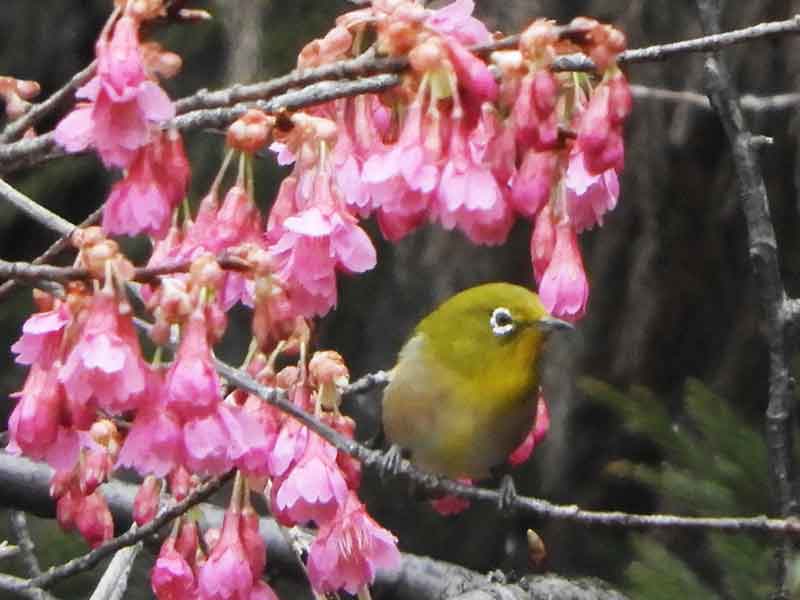 17104_1.jpg  : 34 KB