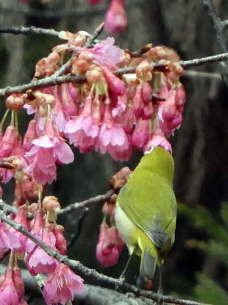 17104_2.jpg  : 21 KB