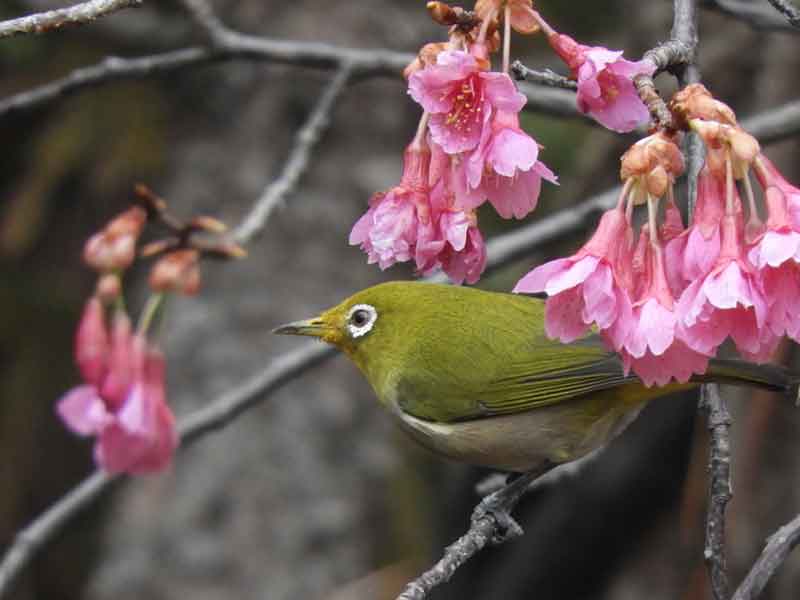 17104_3.jpg  : 26 KB