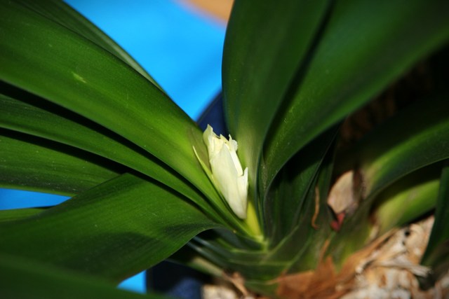 17110_0.jpg  : 43 KB