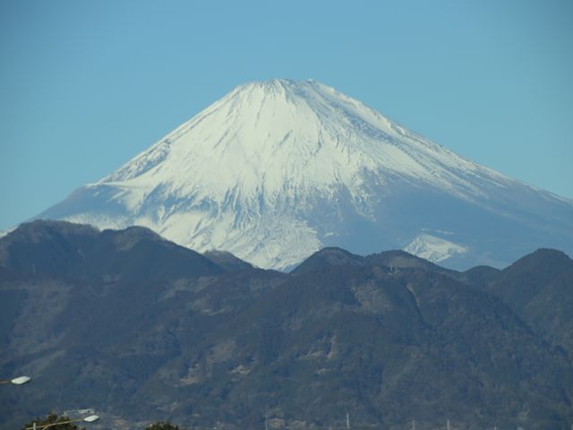 17112_1.jpg  : 26 KB